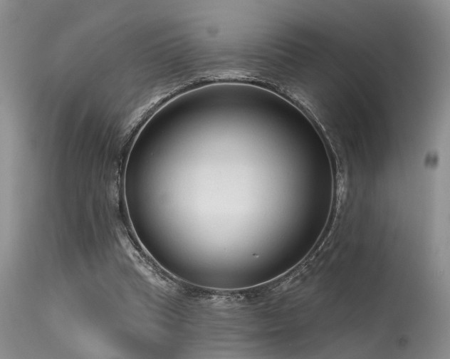 X0000113610345200909251148