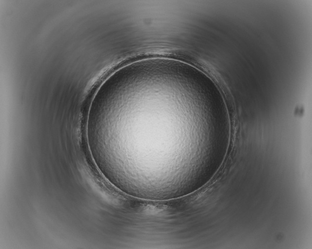 X0000113610346200909251148