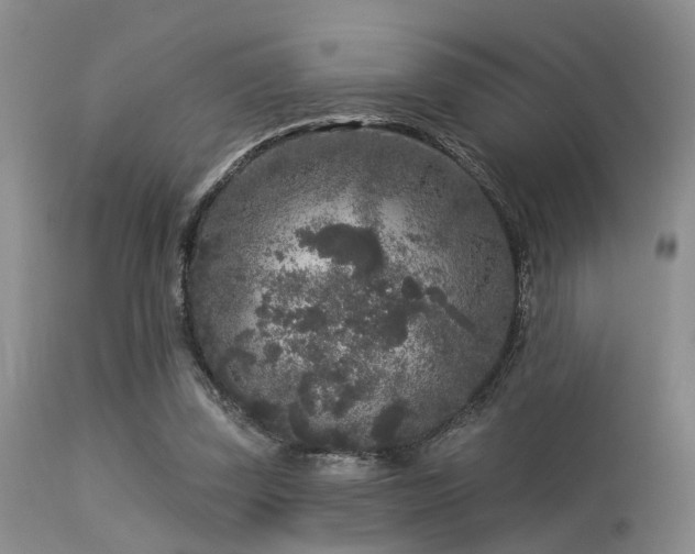 X0000113610347200909251148