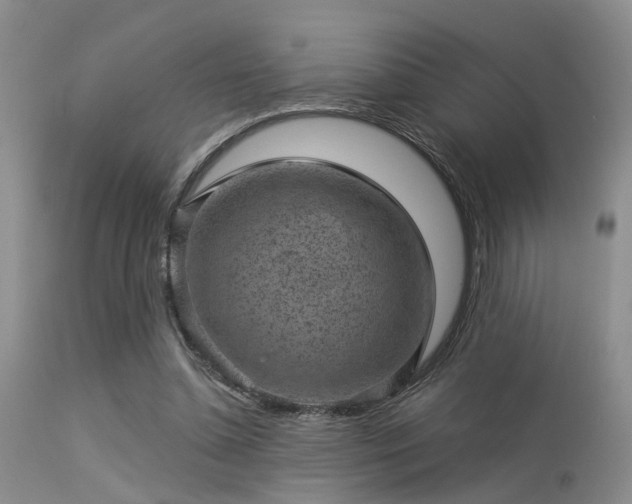 X0000113610348200909251148