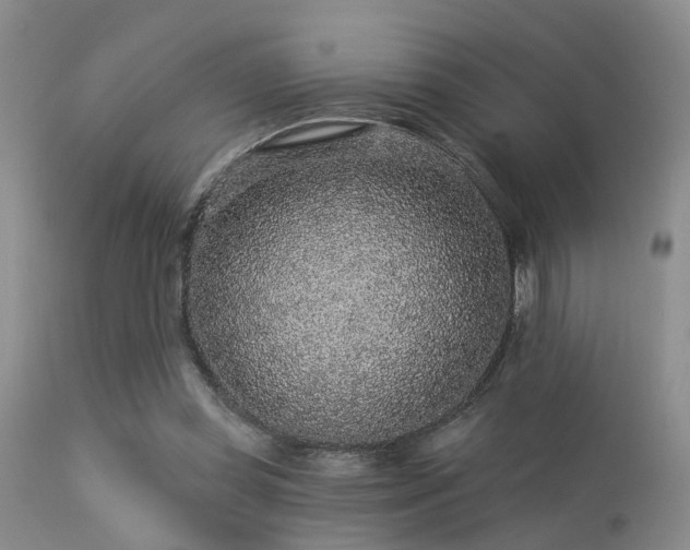 X0000113610349200909251148