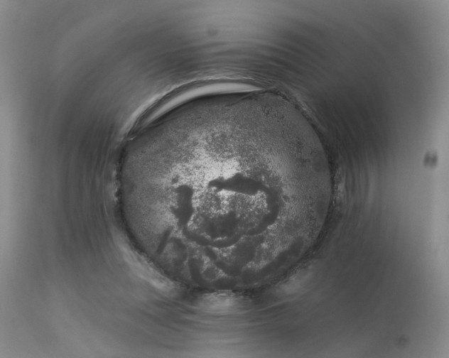 X0000113610351200909251148