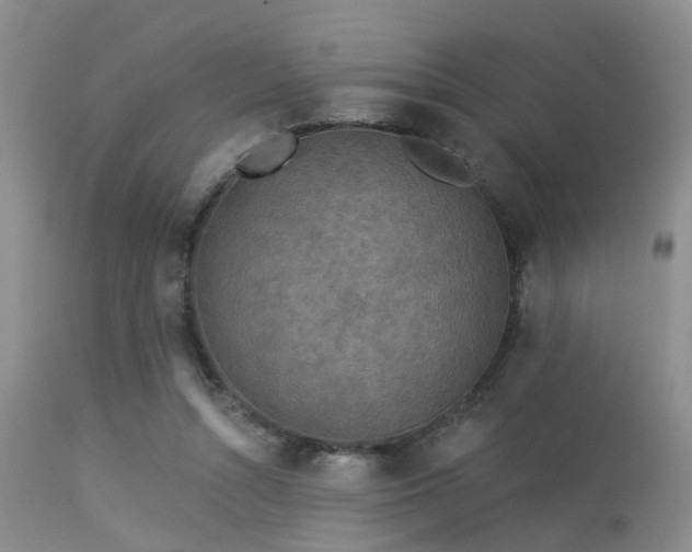 X0000113610352200909251148