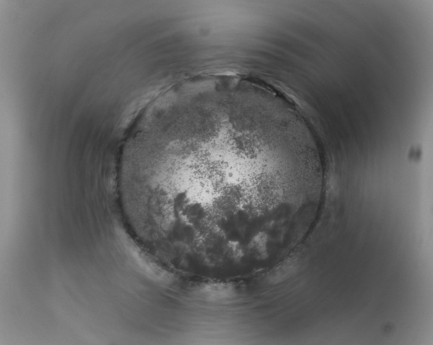 X0000113610353200909251148