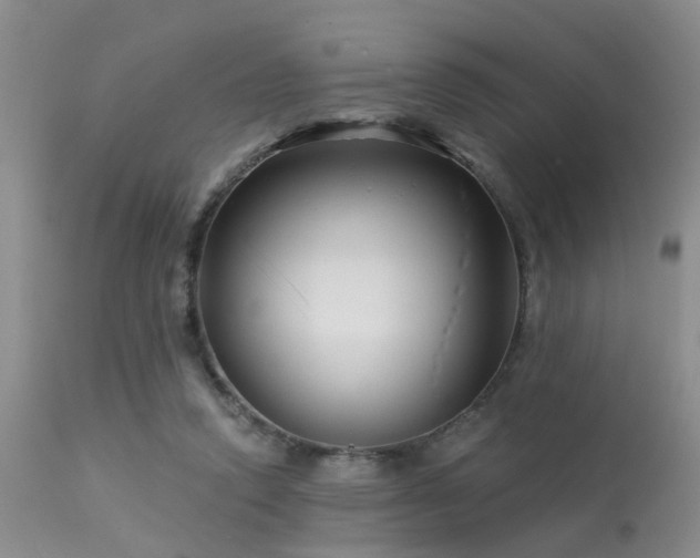 X0000113610354200909251148