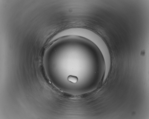 X0000113610362200909251148