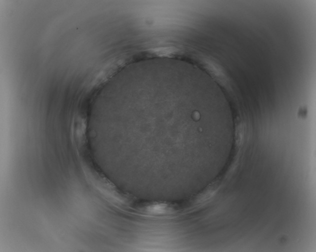 X0000113610365200909251148