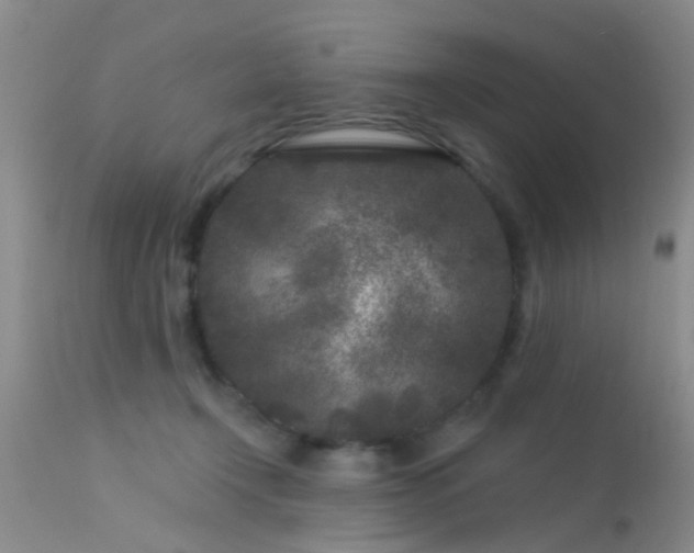 X0000113610366200909251148