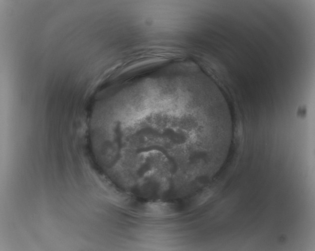 X0000113610367200909251148