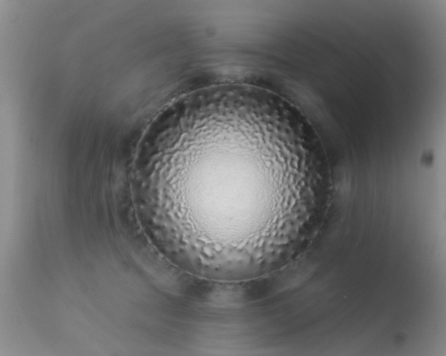 X0000113610369200909251148