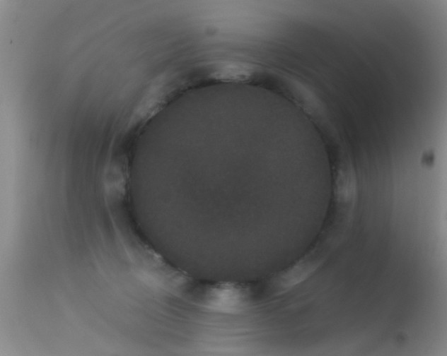 X0000113610370200909251148