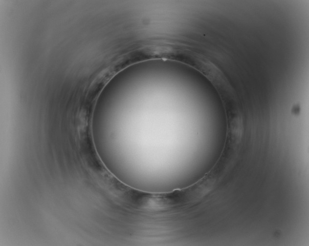 X0000113610372200909251148