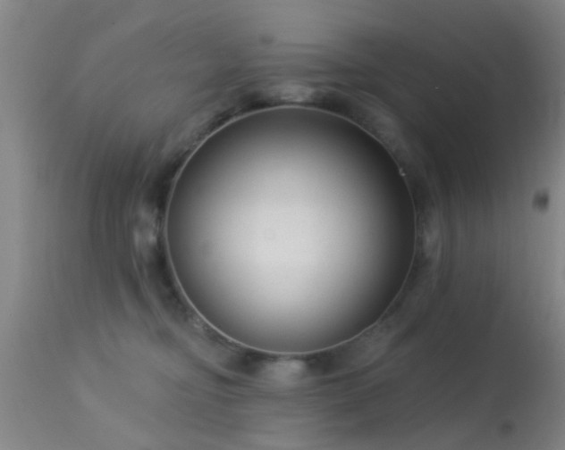 X0000113610374200909251148