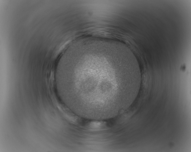 X0000113610375200909251148