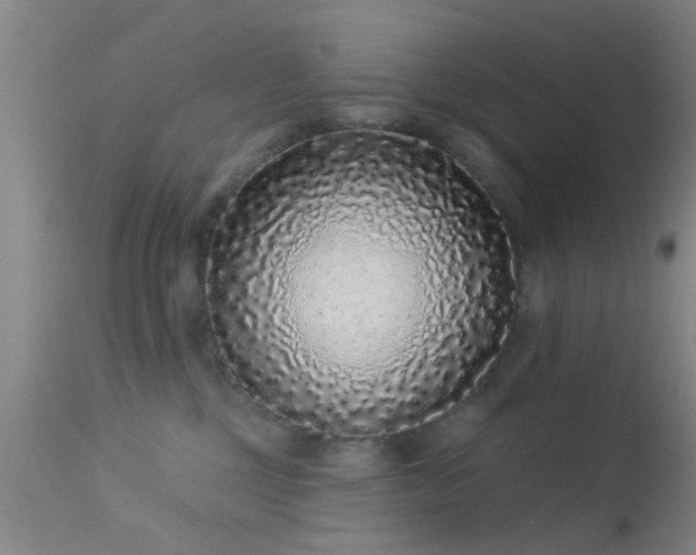 X0000113610377200909251148