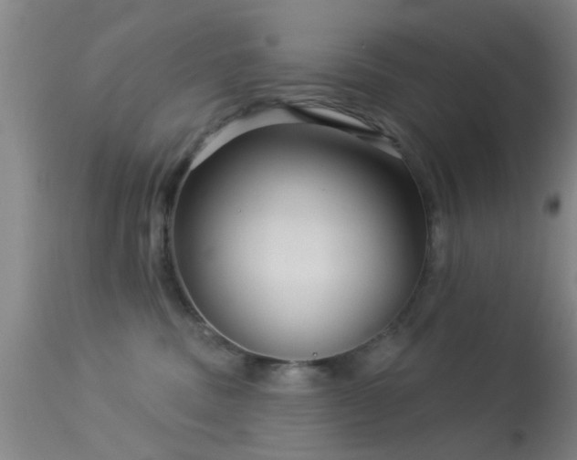 X0000113610379200909251148