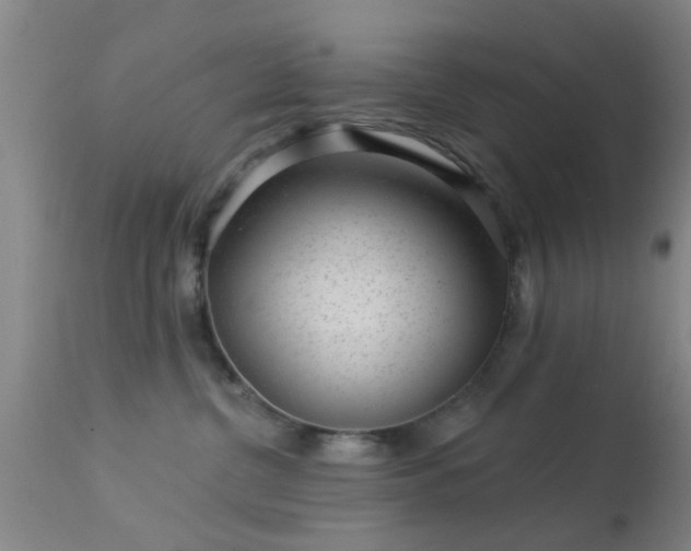 X0000113610380200909251148