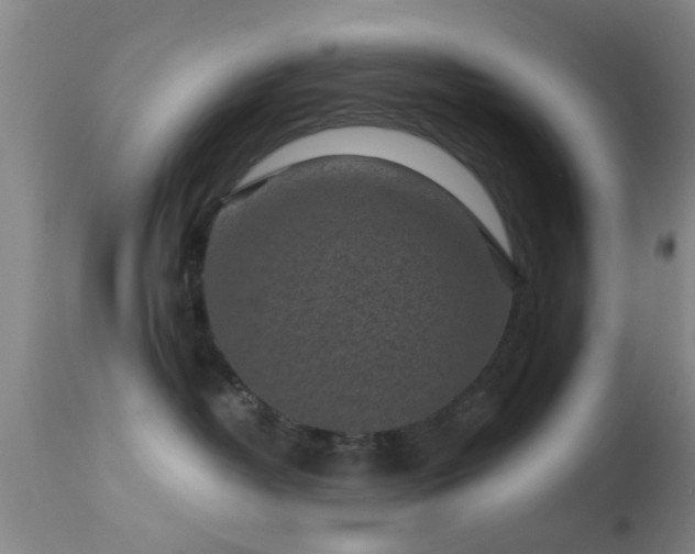 X0000113610382200909251148