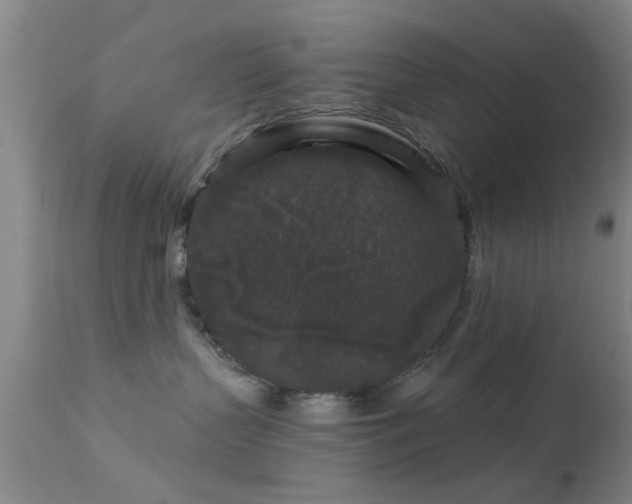 X0000113610383200909251148