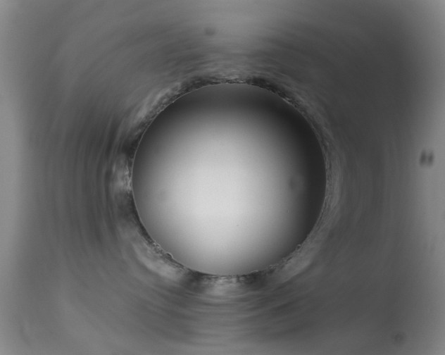 X0000113610384200909251148