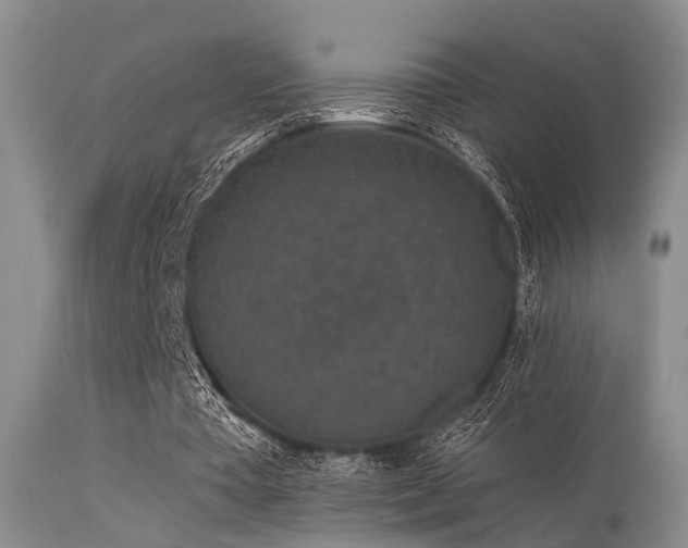 X0000113610385200909251147