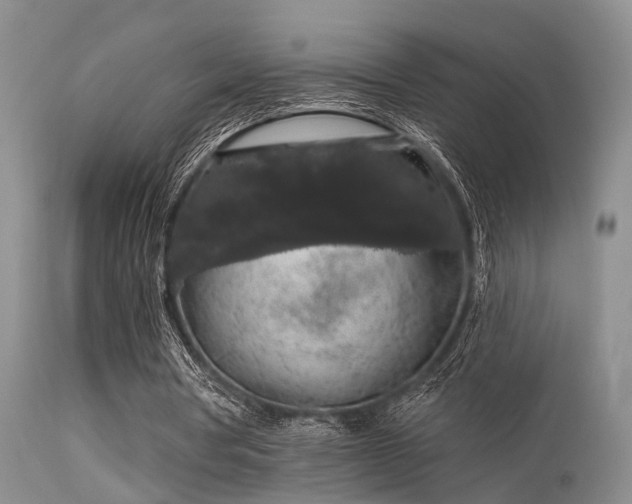 X0000113610386200909251147