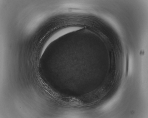 X0000113610387200909251147