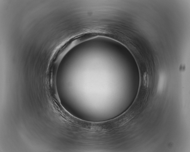 X0000113610388200909251147