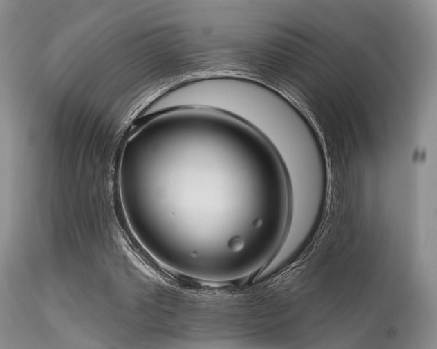 X0000113610389200909251147