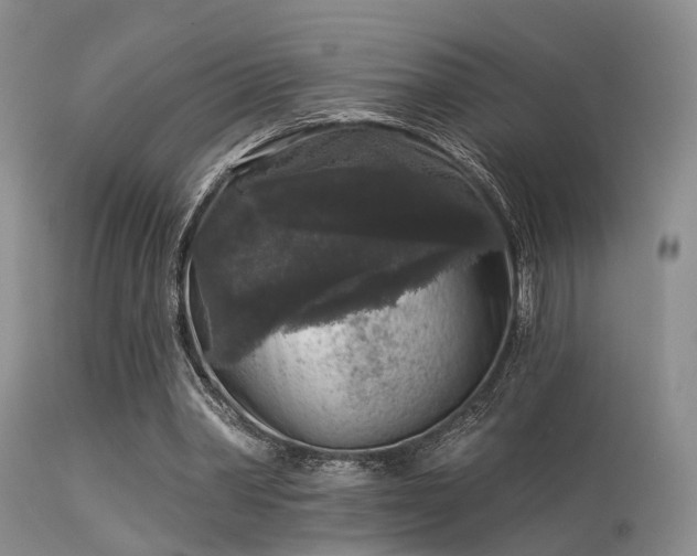 X0000113610390200909251147