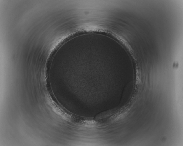 X0000113610391200909251147