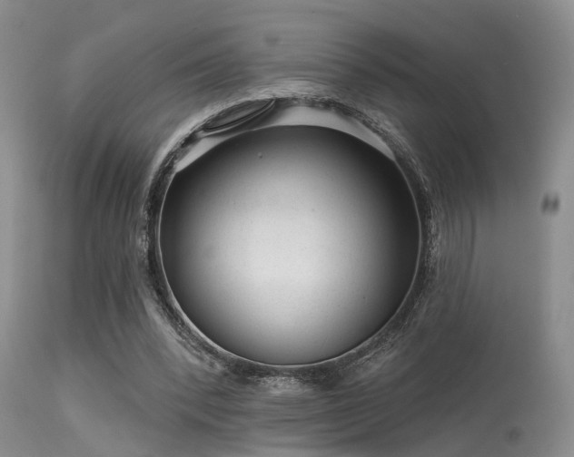 X0000113610392200909251147