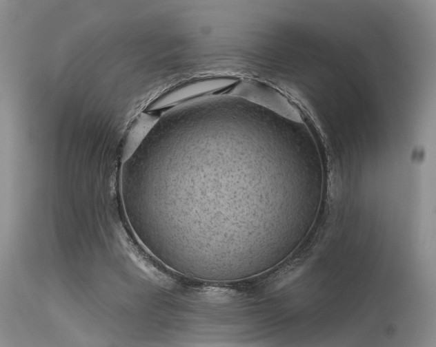 X0000113610393200909251147