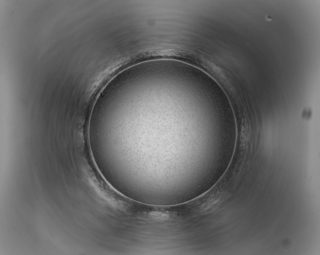 X0000113610394200909251147