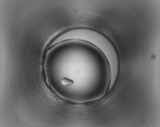 X0000113610395200909251147