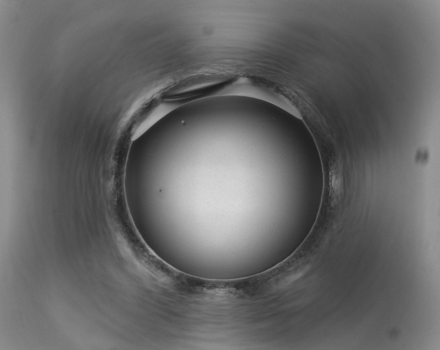 X0000113610396200909251147