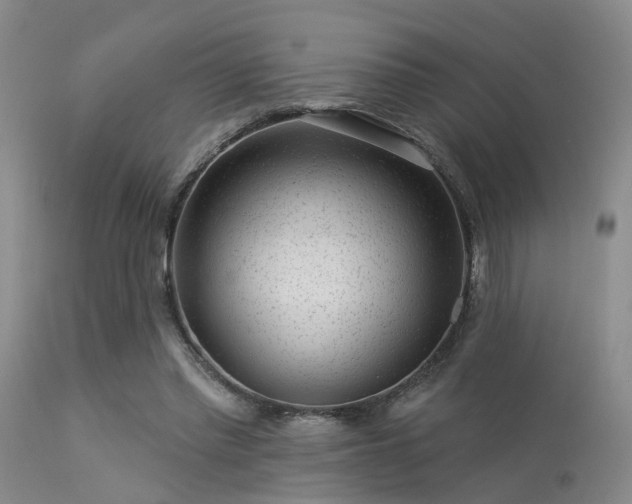 X0000113610397200909251147