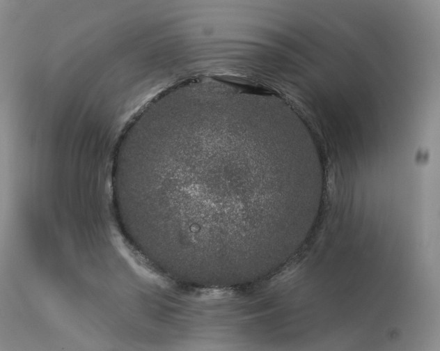 X0000113610398200909251147