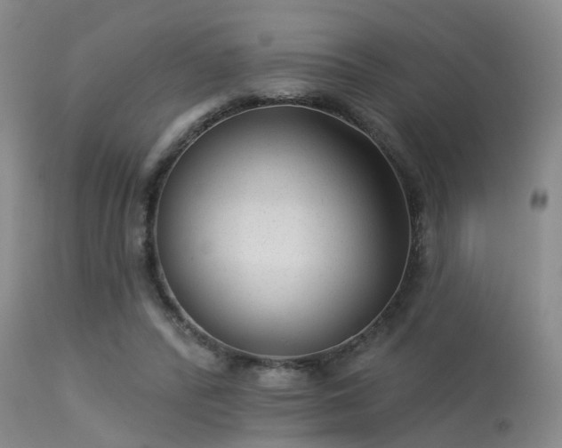 X0000113610400200909251147