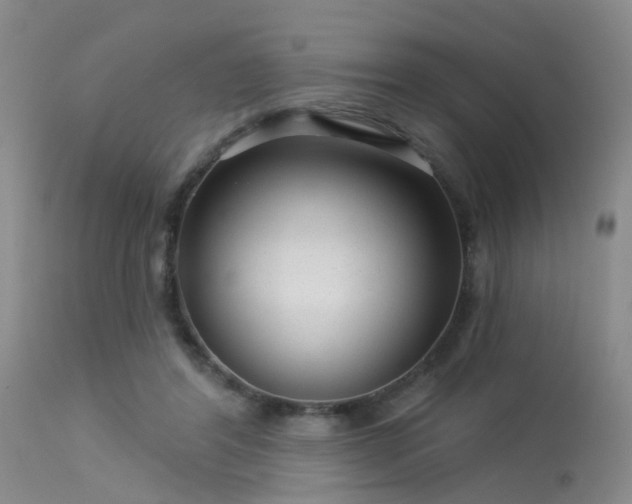 X0000113610404200909251147