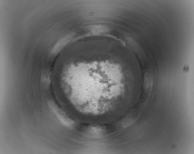 X0000113610405200909251147