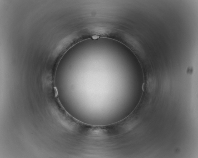 X0000113610407200909251147