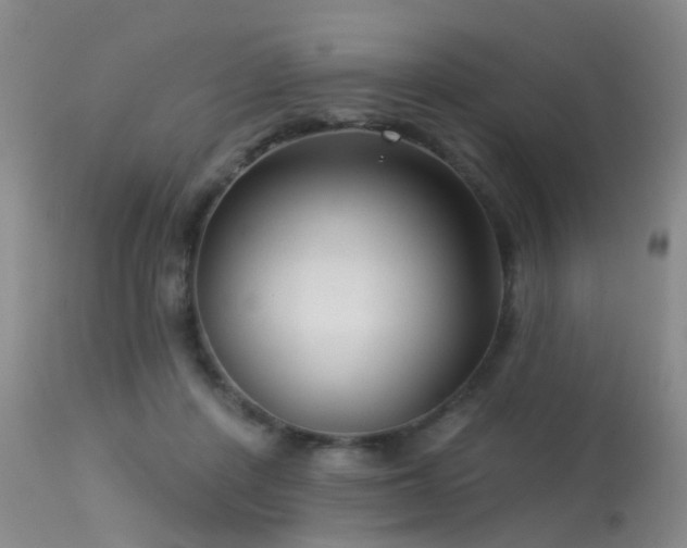 X0000113610408200909251147