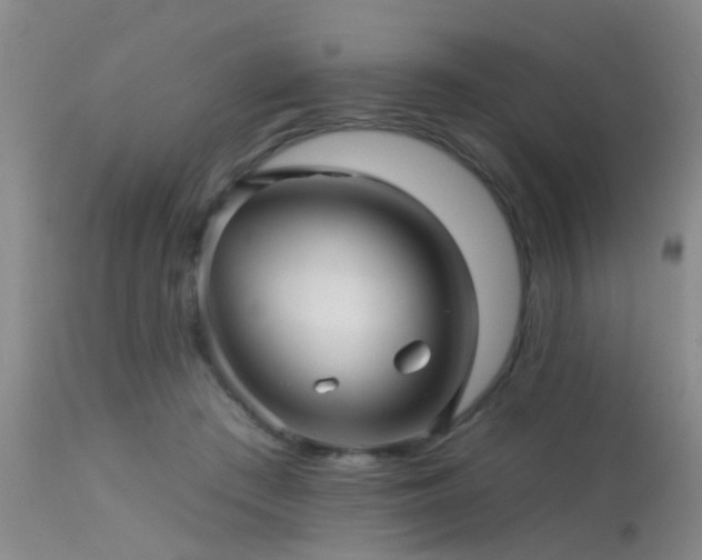 X0000113610409200909251147