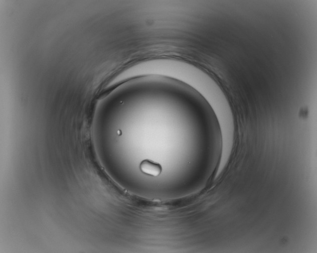 X0000113610411200909251147