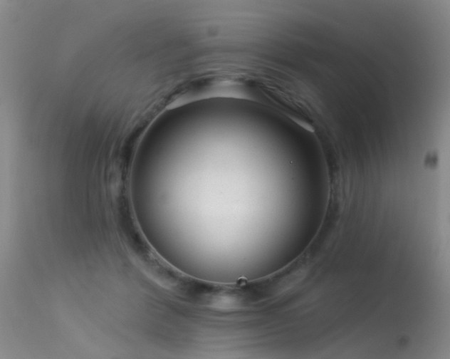 X0000113610412200909251147