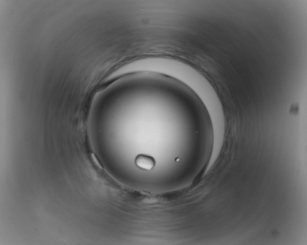 X0000113610415200909251147