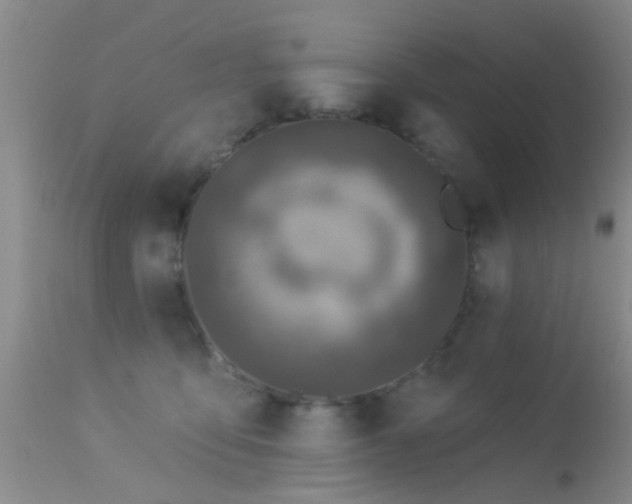 X0000113610419200909251147