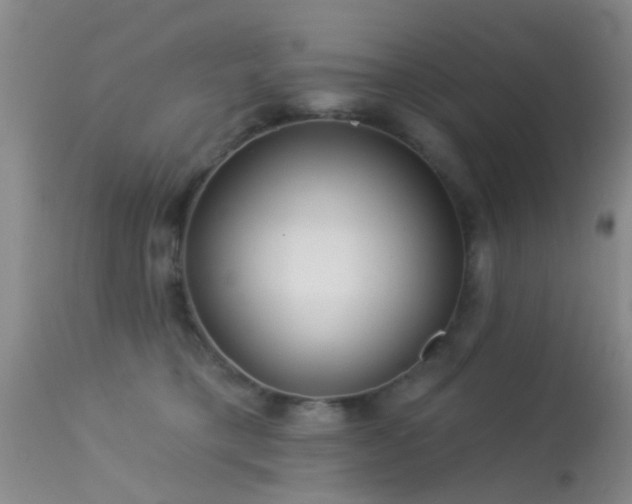 X0000113610421200909251147