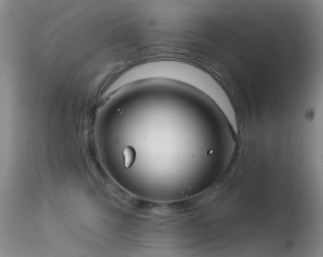 X0000113610423200909251147